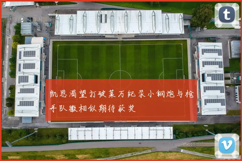 凯恩渴望打破莱万纪录小钢炮与枪手队徽相似期待获奖